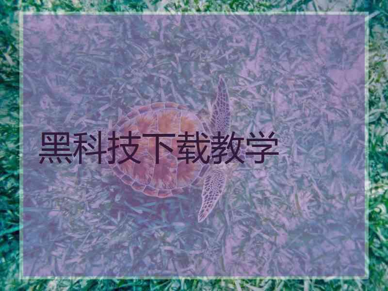 黑科技下载教学