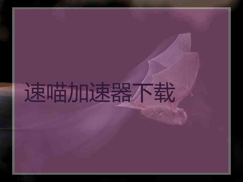 速喵加速器下载