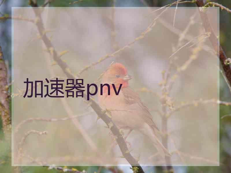 加速器pnv