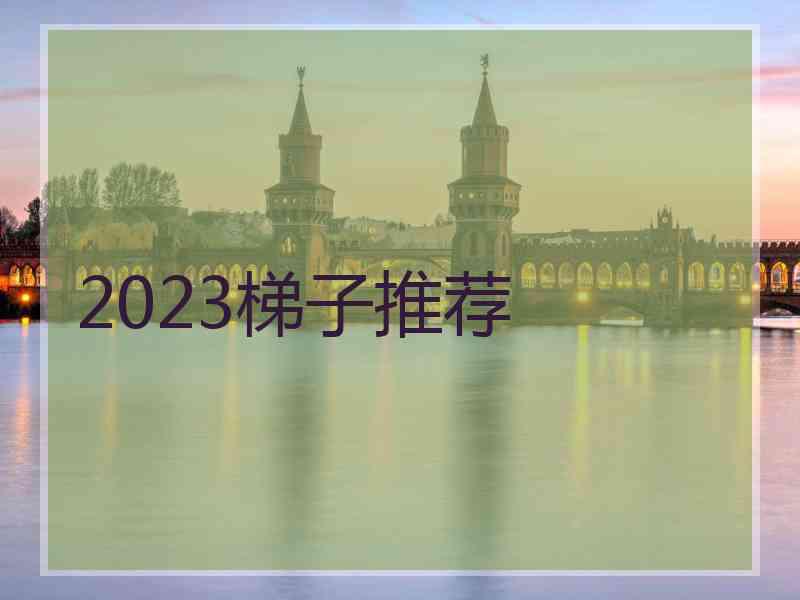 2023梯子推荐