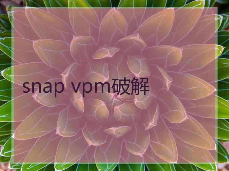 snap vpm破解