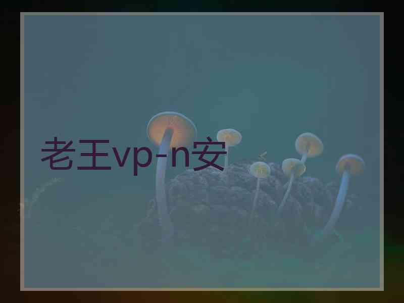 老王vp-n安
