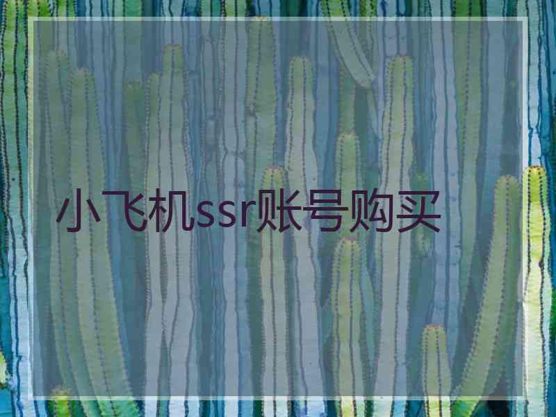 小飞机ssr账号购买