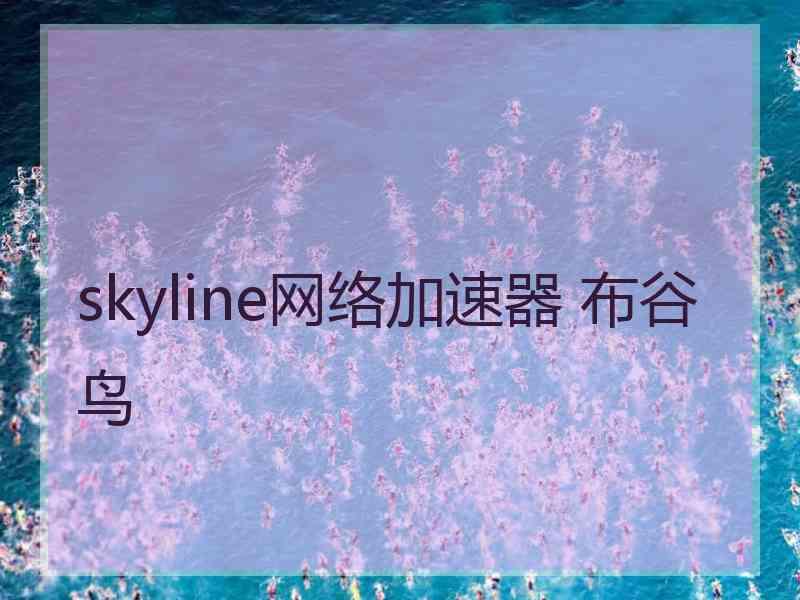 skyline网络加速器 布谷鸟