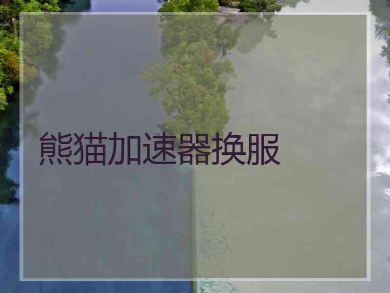 熊猫加速器换服