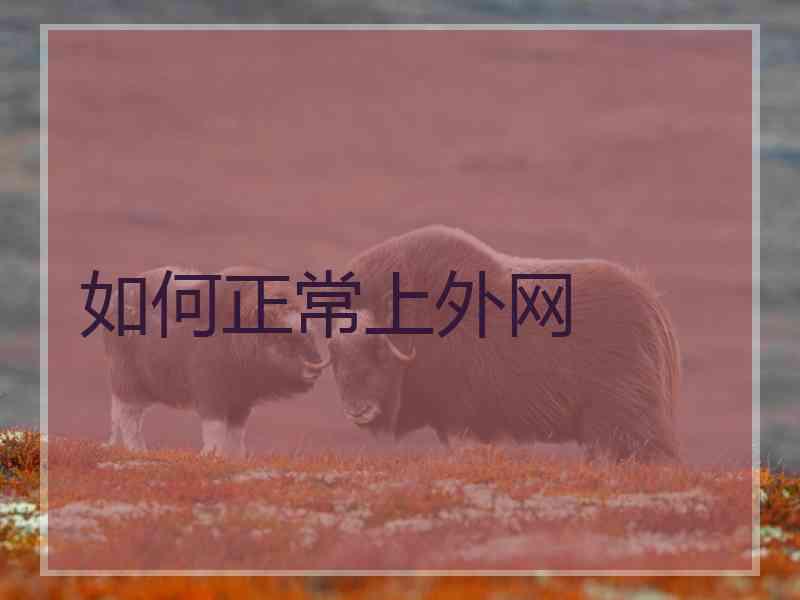 如何正常上外网