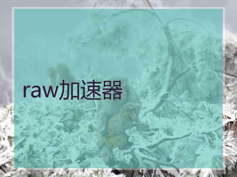 raw加速器