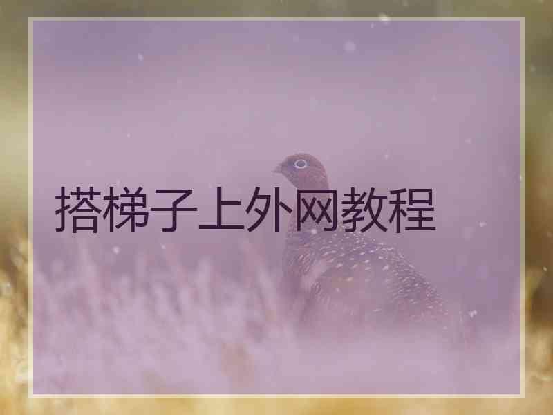搭梯子上外网教程