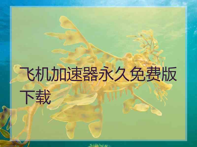飞机加速器永久免费版下载