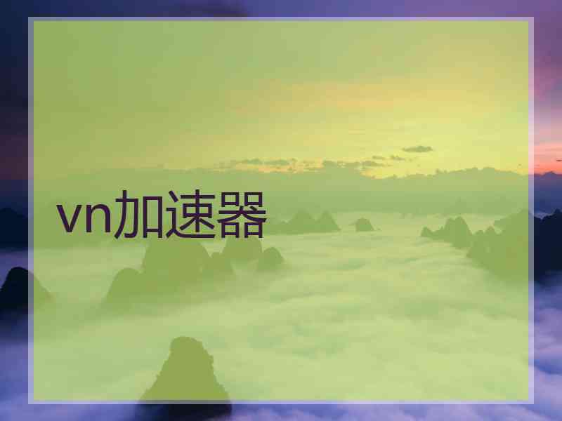 vn加速器