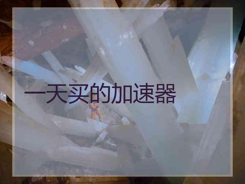 一天买的加速器