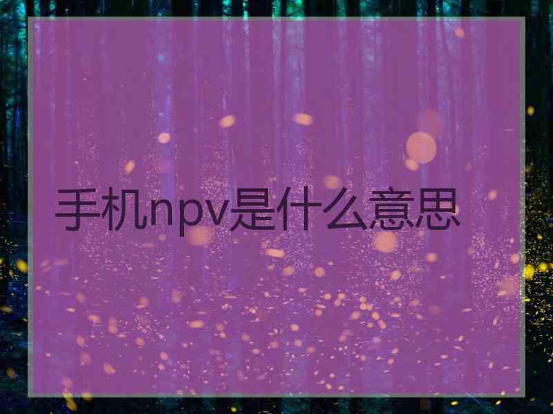 手机npv是什么意思