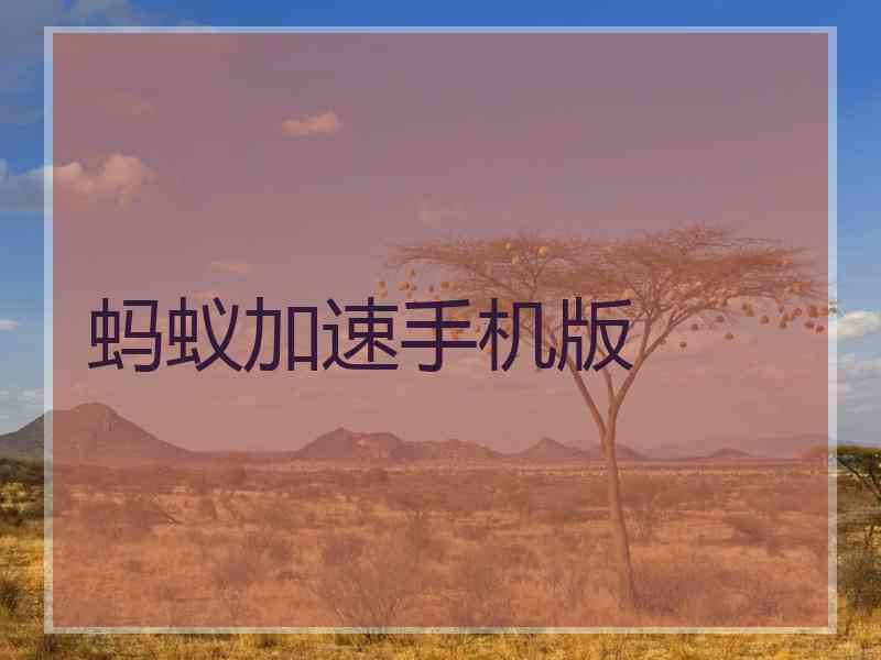 蚂蚁加速手机版