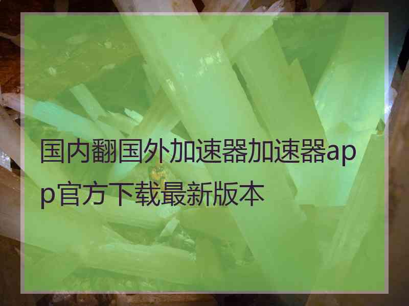 国内翻国外加速器加速器app官方下载最新版本