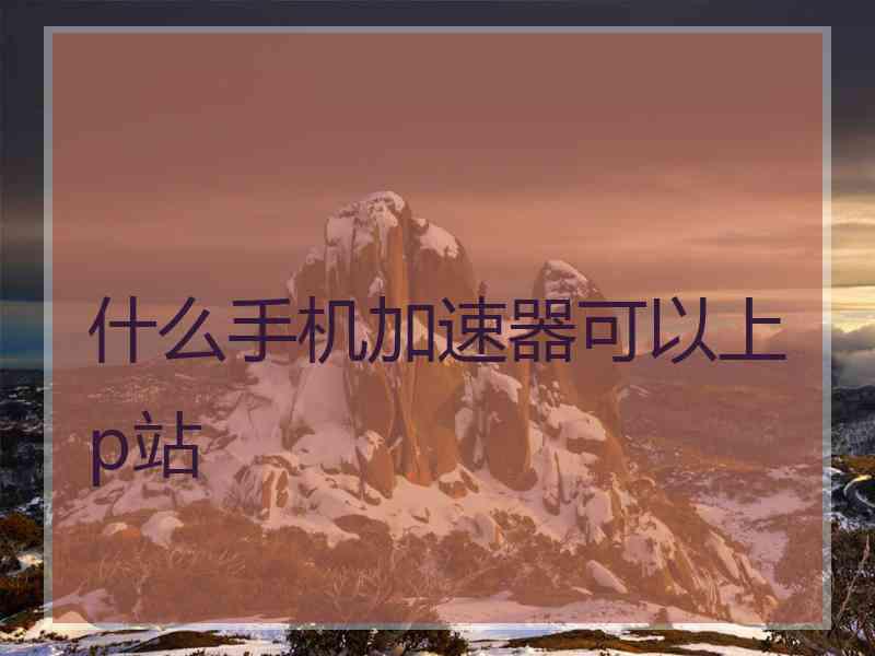 什么手机加速器可以上p站