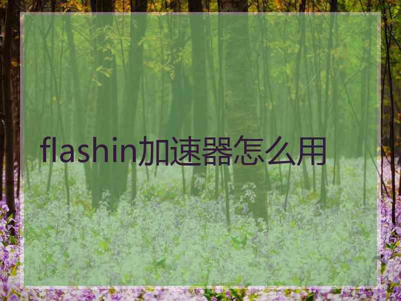 flashin加速器怎么用