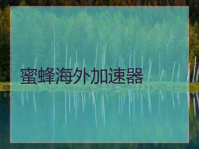蜜蜂海外加速器
