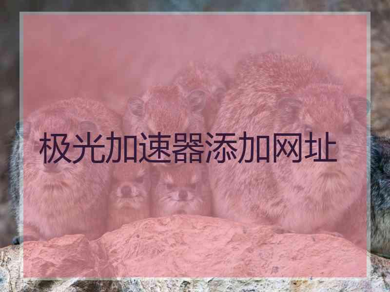极光加速器添加网址