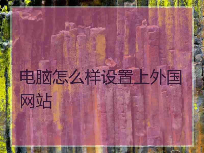 电脑怎么样设置上外国网站