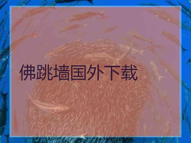 佛跳墙国外下载