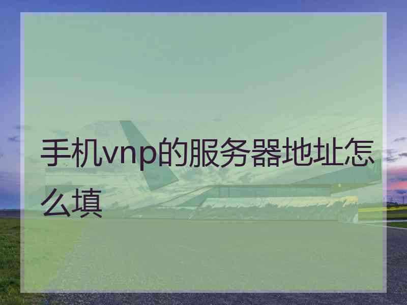手机vnp的服务器地址怎么填