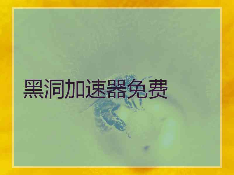 黑洞加速器免费