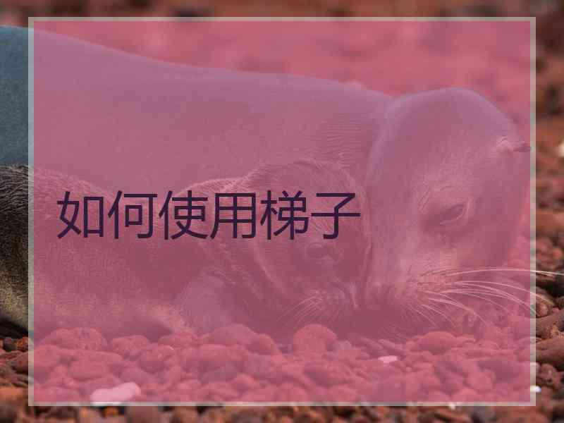 如何使用梯子