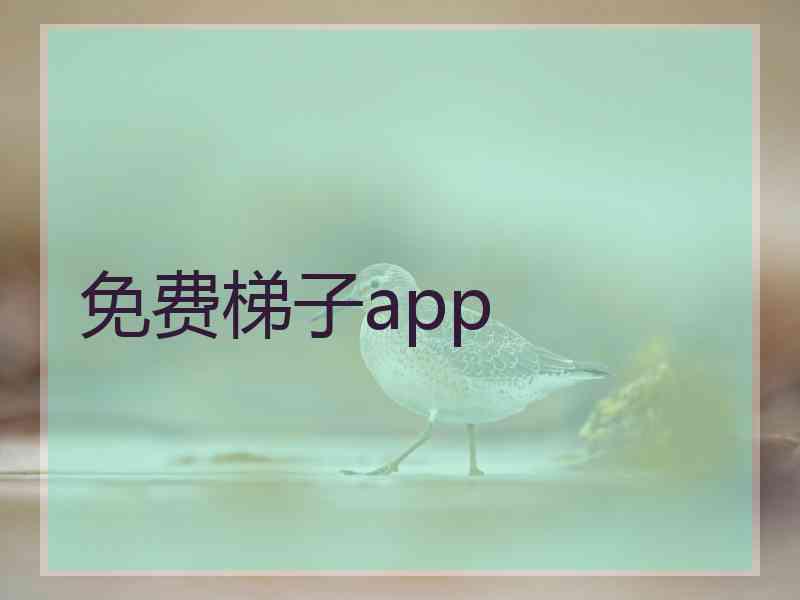 免费梯子app