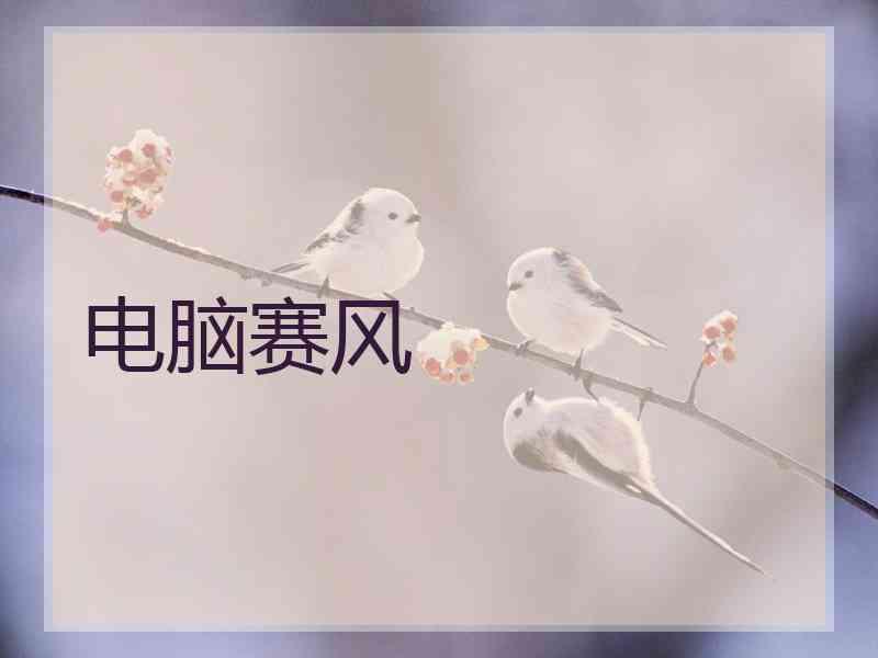 电脑赛风