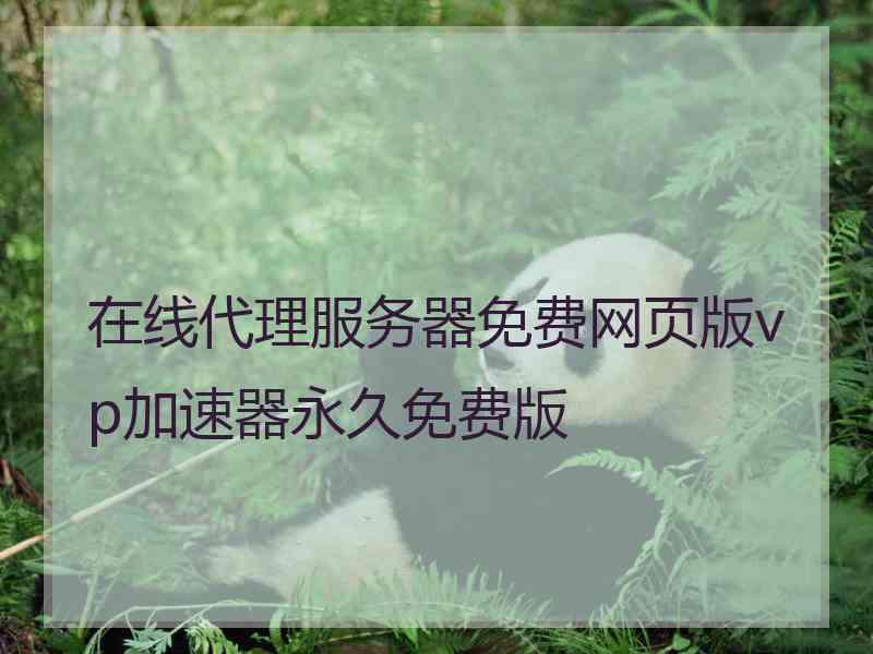 在线代理服务器免费网页版vp加速器永久免费版