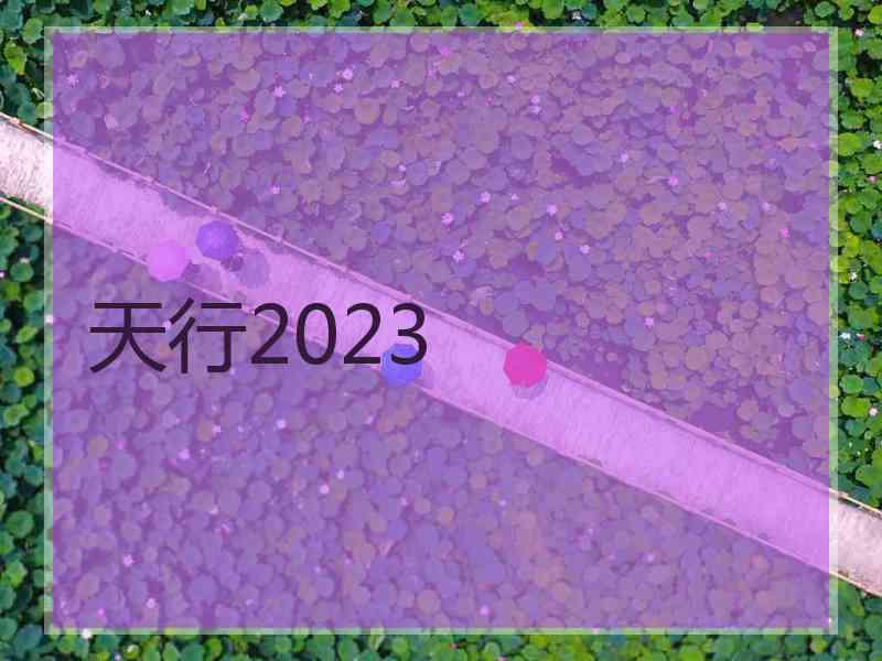 天行2023