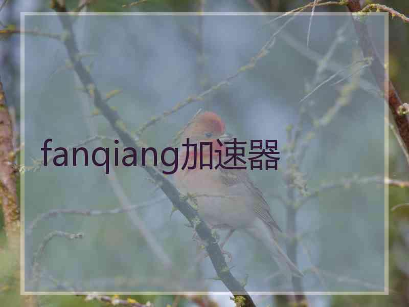 fanqiang加速器