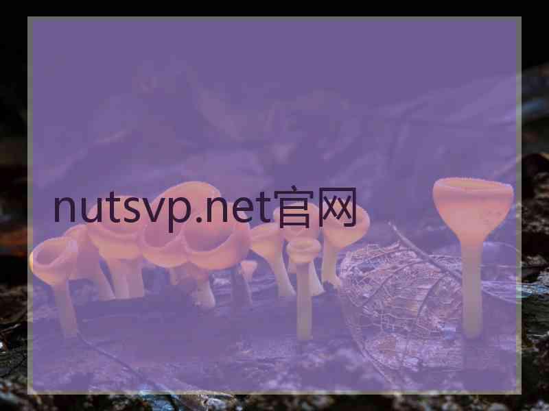 nutsvp.net官网