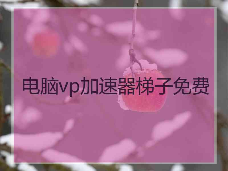 电脑vp加速器梯子免费