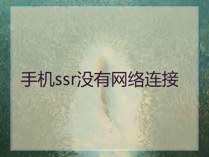 手机ssr没有网络连接