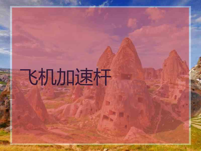 飞机加速杆