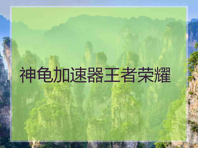 神龟加速器王者荣耀