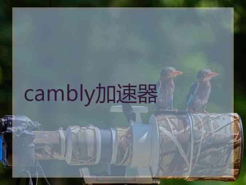 cambly加速器