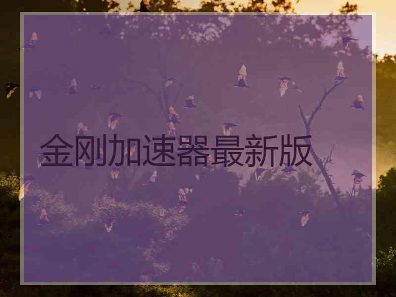 金刚加速器最新版