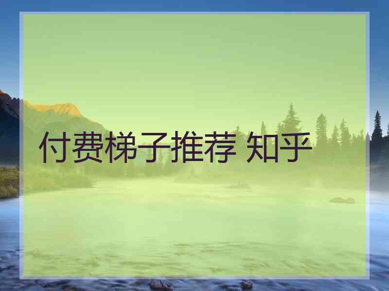 付费梯子推荐 知乎