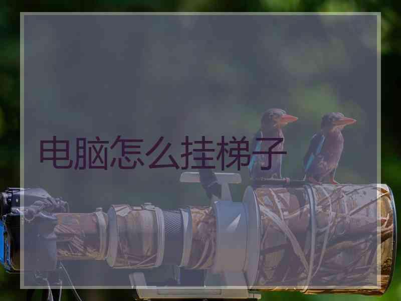 电脑怎么挂梯子