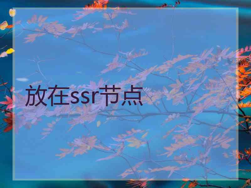 放在ssr节点