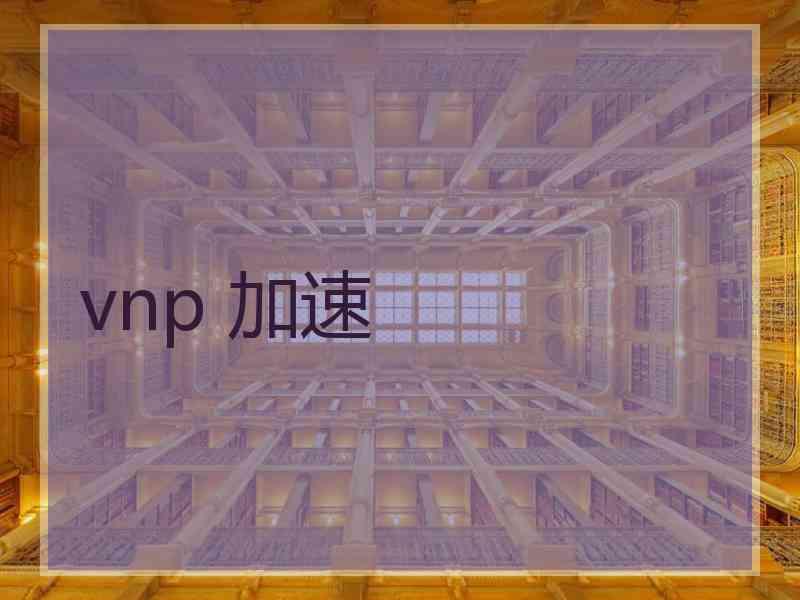 vnp 加速