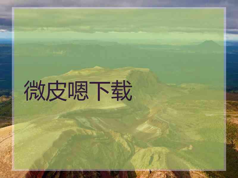 微皮嗯下载