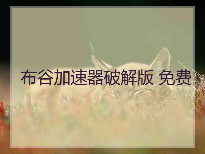 布谷加速器破解版 免费