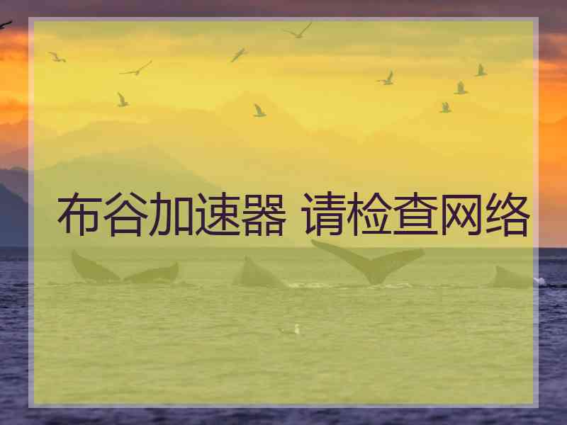 布谷加速器 请检查网络