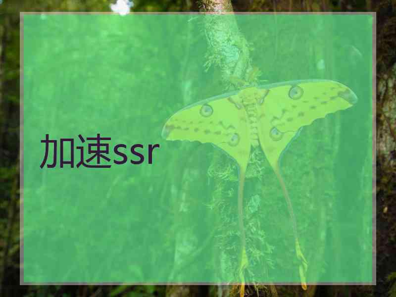 加速ssr