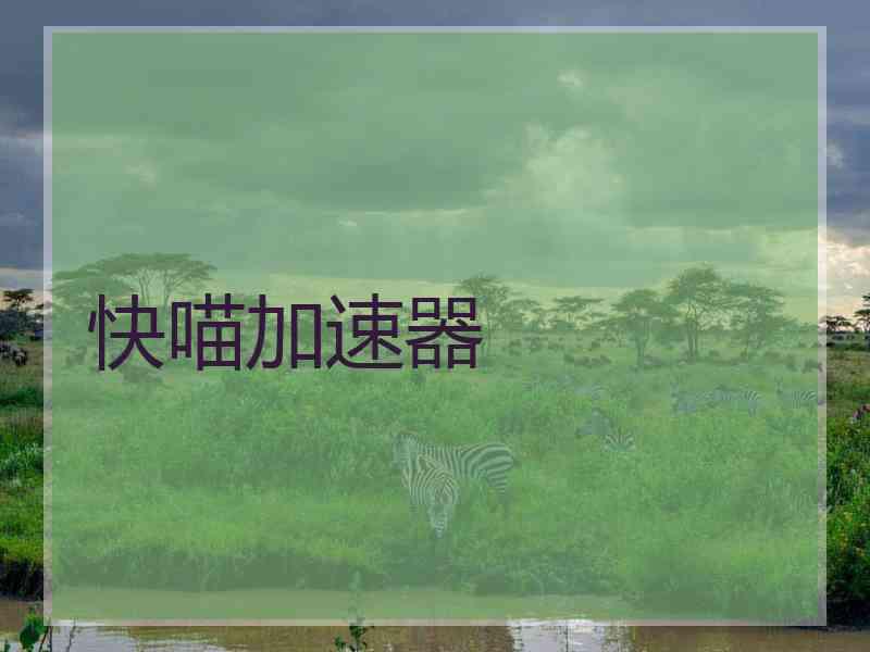 快喵加速器