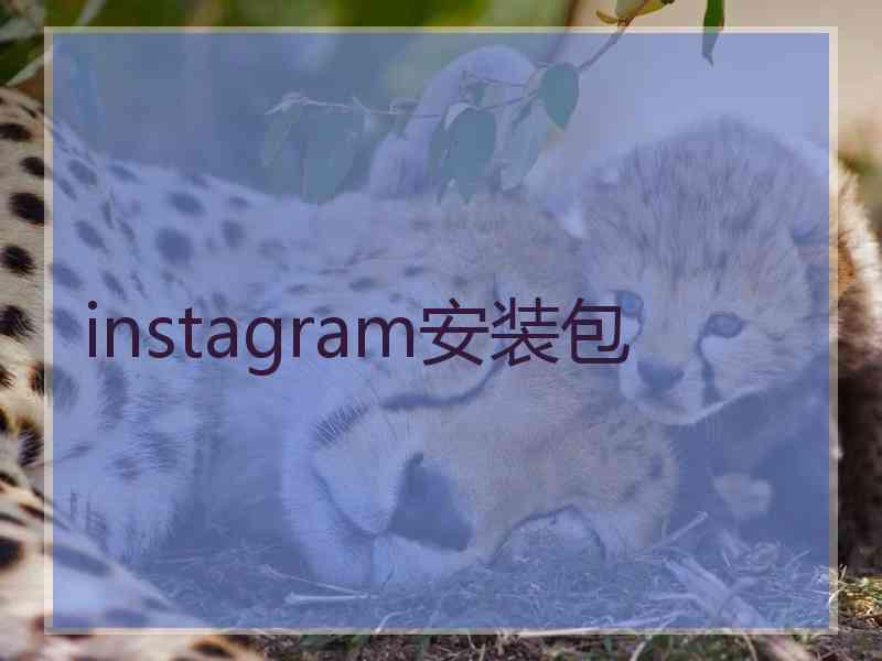 instagram安装包