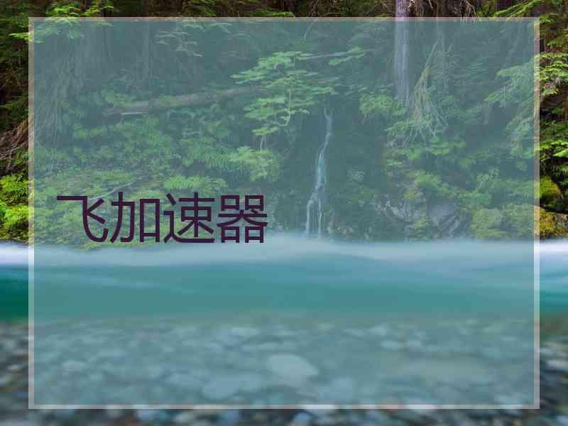飞加速器
